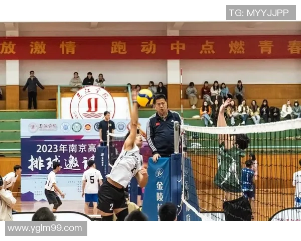 赛后分析：上海排球队与深圳排球队的团队协作表现与启示