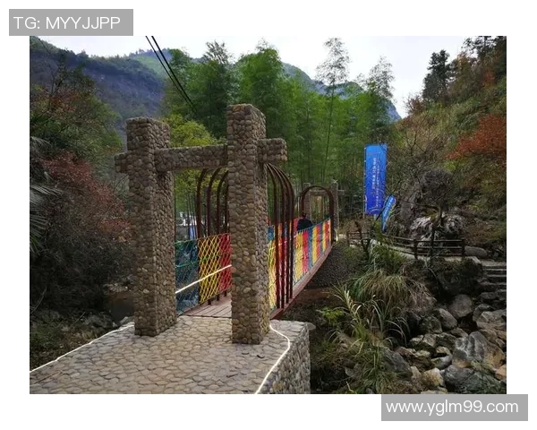 南京极限运动队与重庆极限运动队赛后分析实力对比与未来展望 南京极限运动队与重庆极限运动队赛后分析实力对比与未来展望