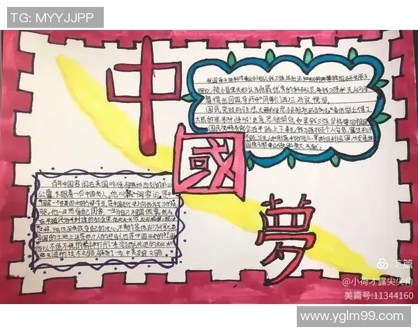 乒乓球场上的追梦旅程：杨敏的奋斗与成长故事