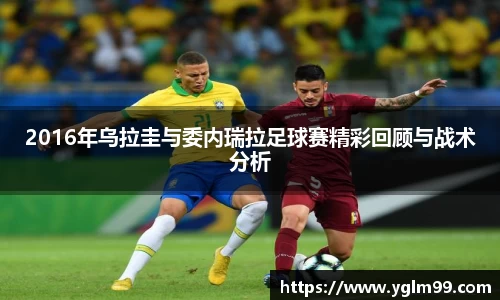 VSport胜利因您更精彩