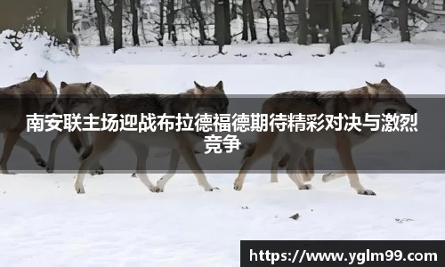 VSport胜利因您更精彩