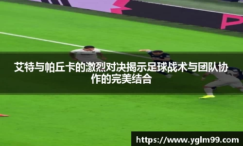 VSport胜利因您更精彩